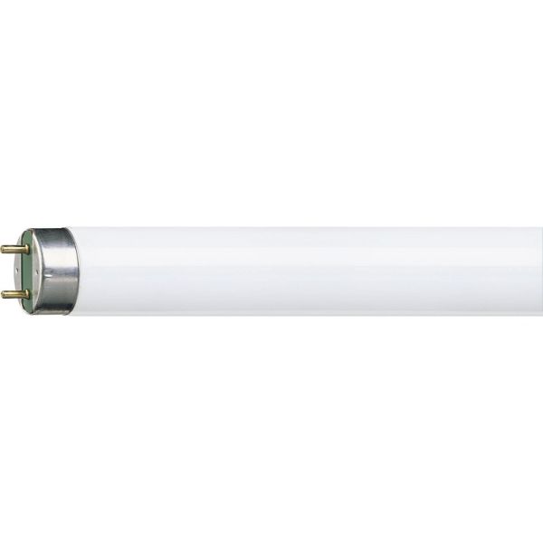 Лампа люминесцентная PHILIPS  18W/54 G13 (Холодный свет)